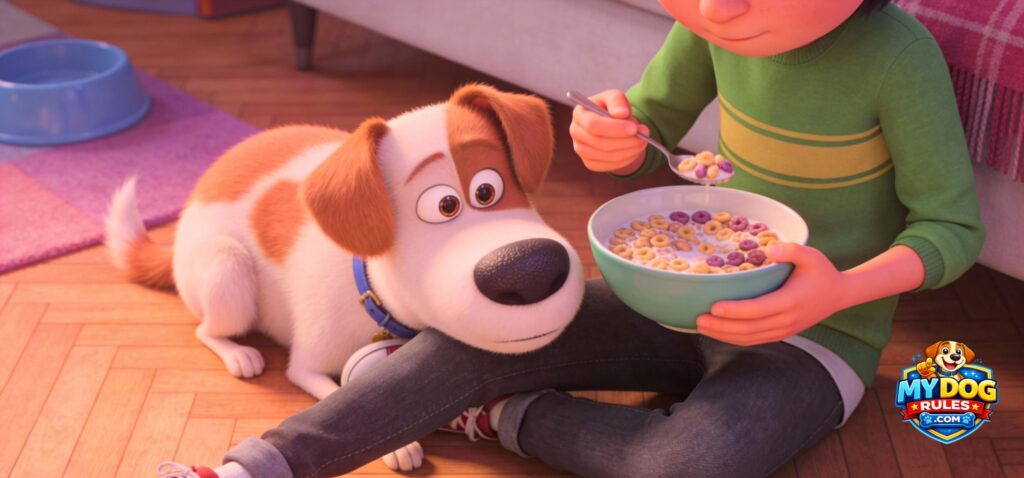 Dogs understand cereal as morning resource a-dog-sits-on-hardwood-floor-head-on-a-childs-knee