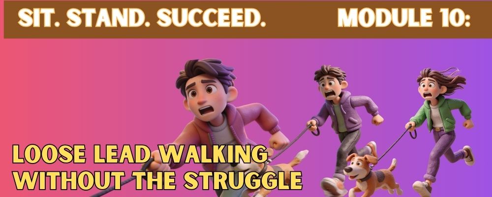 Loose leash Walking for dogs