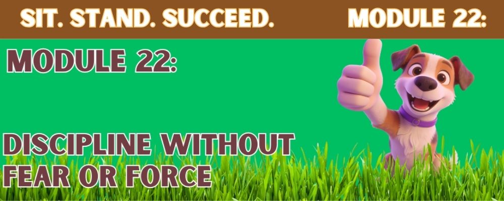 Dog Discipline Without Fear or Force