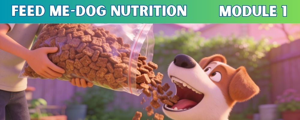 Dog Nutrition