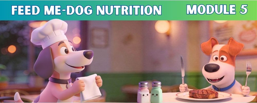 Dog Nutrition