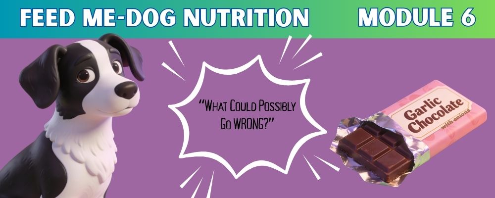 Dog Nutrition