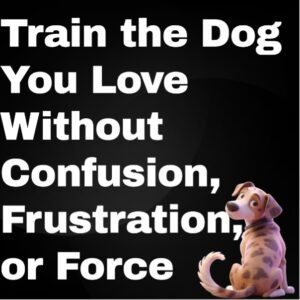 Train-the-dog-you-love