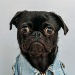 Profile photo of Nicky-V