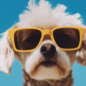 Profile photo of trent