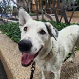 Profile photo of justgrayson