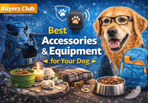 Best dog gear on mydogrules.com