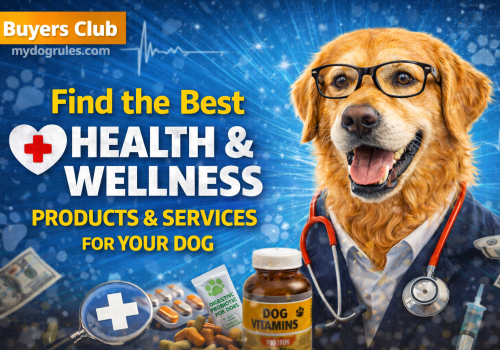 Dog Health and Wellness